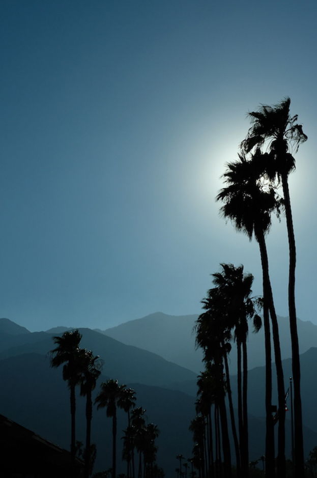 Blue Moon