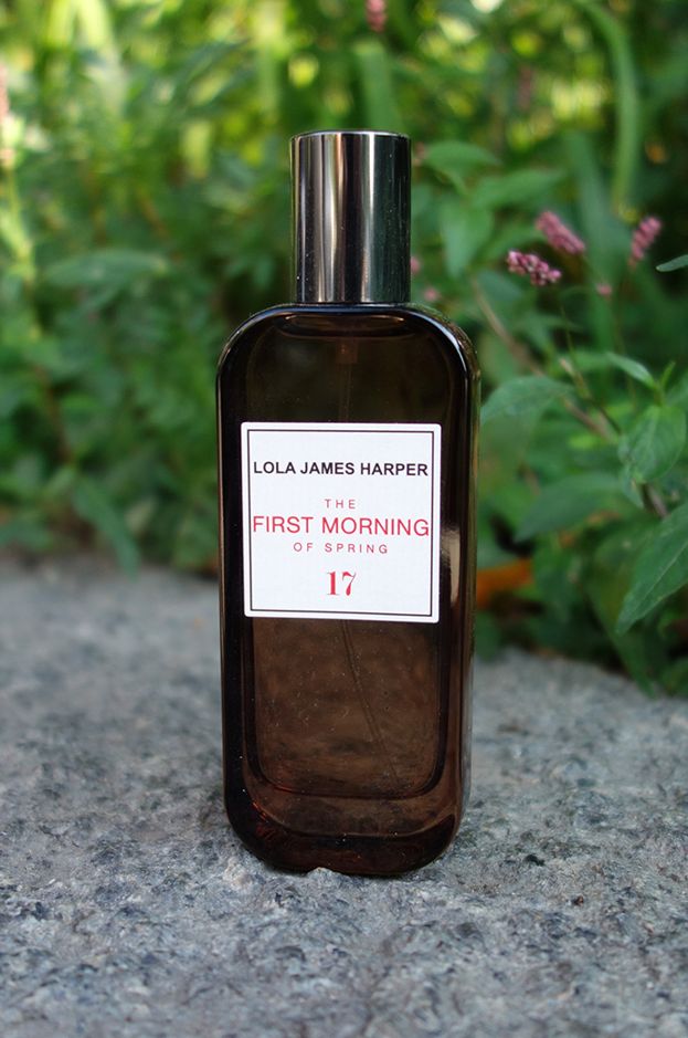 17 FIRST MORNING
