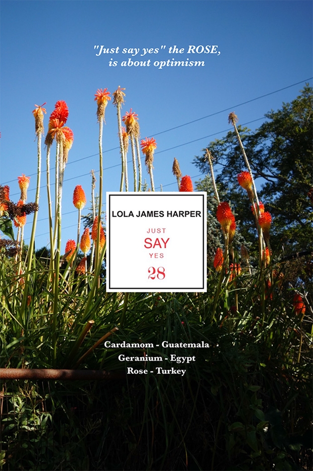28 JUST SAY YES 50ml